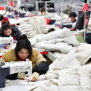 稳中向好持续好 求新求质后劲足——2024年我市经济盘点